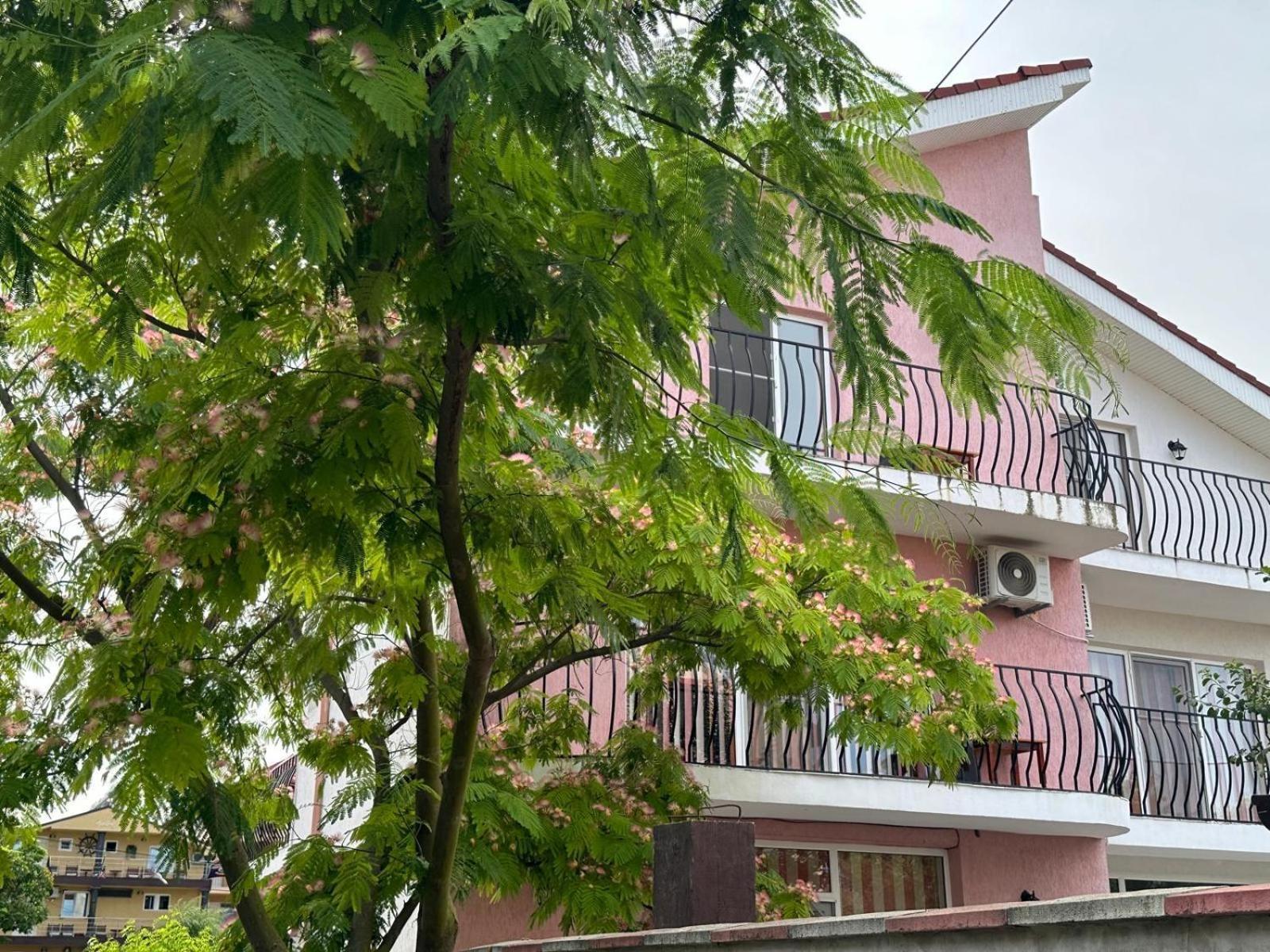 Vila Lucy Costinesti Hotel Luaran gambar