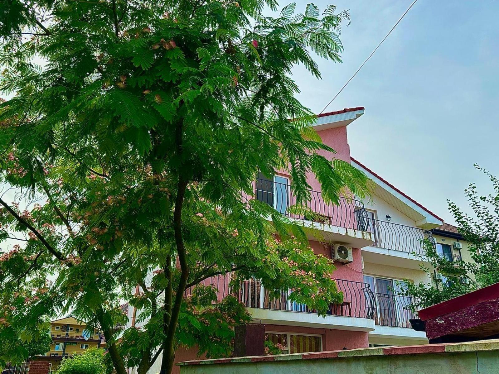 Vila Lucy Costinesti Hotel Luaran gambar